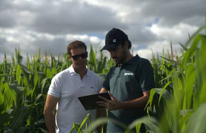 Nera comenzó a operar en noviembre de 2022, ofreciendo créditos digitales en pesos y granos para el pago de insumos o hacienda. Desde su lanzamiento, más de 4000 productores tomaron financiación a través de la plataforma