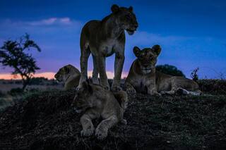 Las apasionantes series que Netflix recomienda para entender el cambio climático
