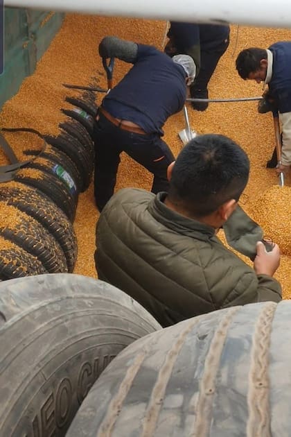 Neumáticos escondidos bajo toneladas de granos