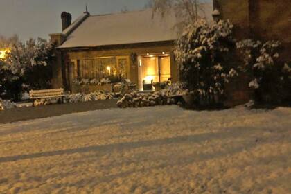 Los cordobeses salieron rápidamente a sacar fotos a los jardines de sus casas cubiertos de nieve