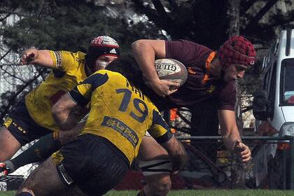 Newman, líder del Top 14