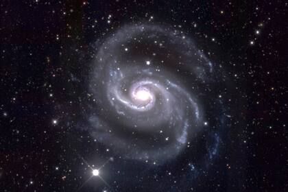 NGC 1565, también conocida como la bailarina española, una galaxia espiral en la constelación de Dorado