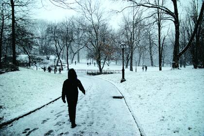 Ni la nieve detiene el movimiento en el  Central Park.