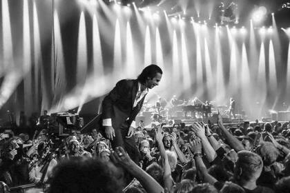 nick cave