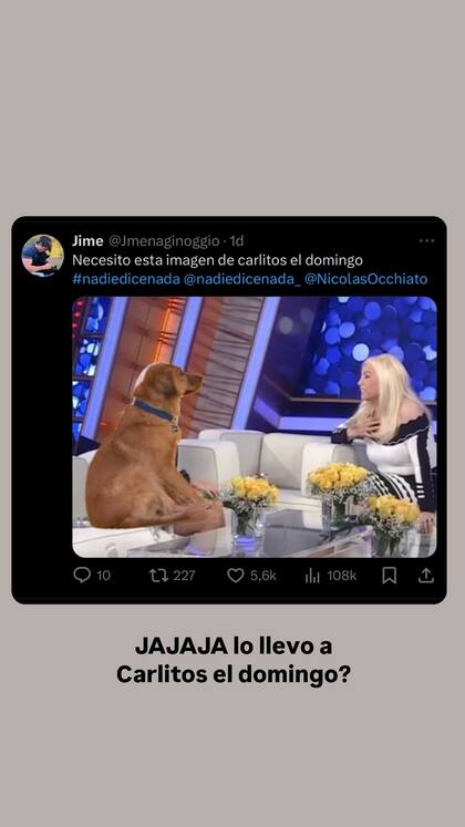 Nico Occhiato bromeó sobre la posibilidad de llevar a su perro Carlitos al programa de Susana Giménez