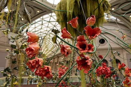 Nicola Costantino representa el rol de la naturaleza en esta obra: "Vuelve a tomar silenciosamente lo que le pertenece”