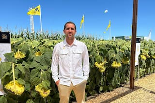 Ambientación: la palabra clave que se abre paso para elevar el rinde