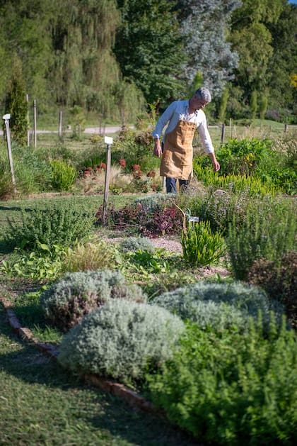 Nicolás en el ensayo de plantación del año pasado, el cual lleva a cabo con Cecilia Deane y Cecilia Galeazzi en el marco del curso “La práctica”