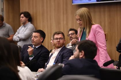Nicolás Massot, durante la reunión de la Comisión de Presupuesto y Hacienda, cuando anticipó la maniobra opositora