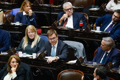 Nicolás Massot en la Cámara