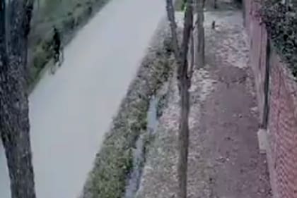 Nicolás Mattioli, el hijo de Leo Mattioli atropella y mata a una ciclista