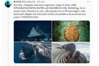 Nicolás pidió a sus seguidores que lo ayuden con su voto para que sus fotos sean premiadas en una competencia internacional