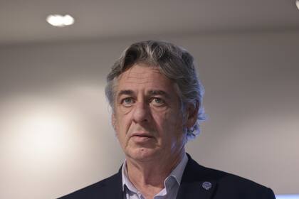 Nicolás Pino; “El fin del cepo abre un nuevo horizonte para el sector agropecuario"