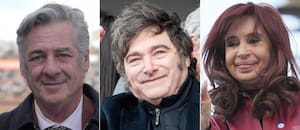 Nicolás Pino cruzó a Cristina Kirchner por sus dichos sobre la baja de las retenciones