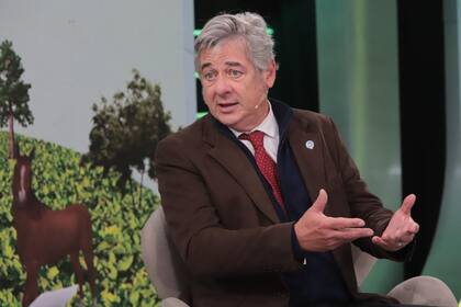 Nicolás Pino, presidente de la Sociedad Rural Argentina (SRA)