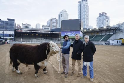 Nicolás Pino, presidente de la Sociedad Rural Argentina (SRA), con la llegada del primer ejemplar
