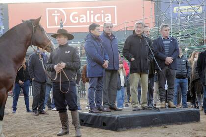Nicolás Pino, presidente de la SRA, habla tras recibir a Pericón y Mercosur
