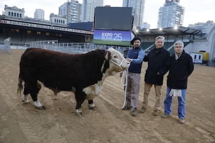 Nicolás Pino (SRA) y Alejandro de La Tour (h), presidente de Hereford, acompañando al cabañero del primer animal