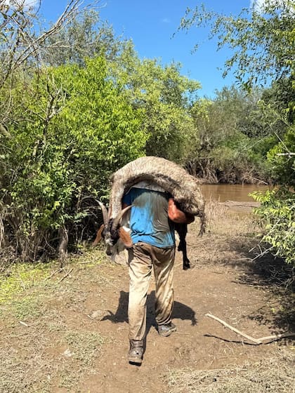 Nicolás, uno de los rescatistas, tuvo que llevarla en sus hombros durante un kilómetro por el camino lodoso.
