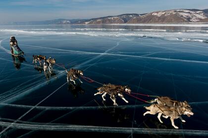 Nicolas Vanier en una de sus expediciones con los perros de trineo. En verano suele estar en el lodge para practicar pesca con mosca y kitesurf.