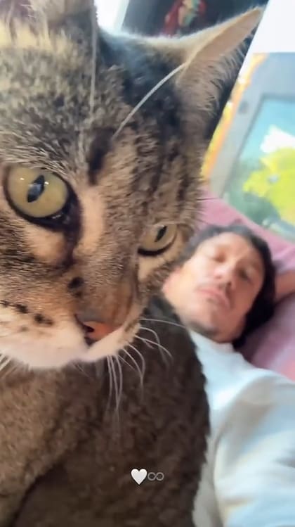 Nicolás Vázquez mostró cómo pasó el fin de semana acompañado de sus gatos