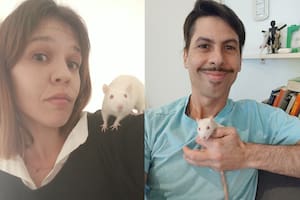 Nicolás y Soledad decidieron darle una segunda oportunidad a tres ratas