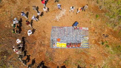 Nideport es una empresa desarrolladora de proyectos de créditos de carbono