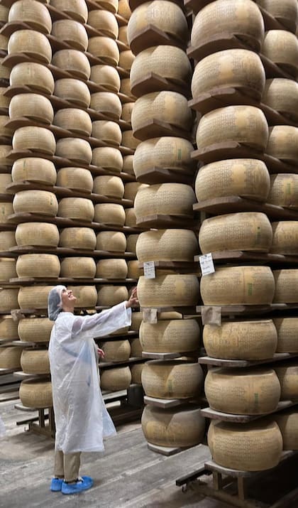 Una reconocida experta en análisis sensorial llegó a la cima de un consejo mundial del dulce de leche y cuenta su atrapante objetivo 8 Nieto trabaja en el INTI Lácteos