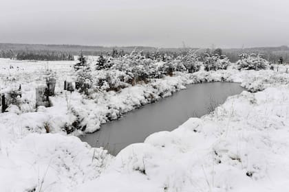 Un área rural cubierta de nieve después de la caída de nieve cerca de Saint-Hubert, Bélgica