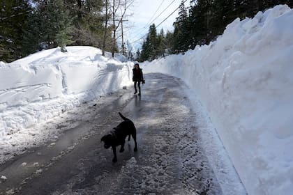 Una persona pasea a su perro por una calle recién despejada de nieve en Lake Arrowhead, California