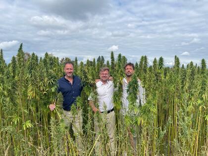 Nikalai Baranoff (izq), director Ejecutivo de IHS; Witold Czeszak - Head del Polish Hemp Program y Maximiliano Baranoff (derecho).