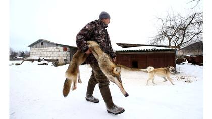 Nikolay Skidan, lleva la piel de un lobo cazado junto a Vladimir Krivenchik