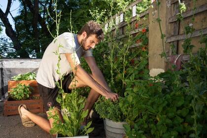 Nils Lengyel, estudiante, armó su huerta en mayo, en plena pandemia