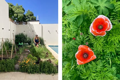 Ningún encargo es imposible. Poder dar "alimento sano y libre de venenos" es gran parte el mantra de este dúo que hace de su trabajo una forma de vida. Ana y Ale son miembros de la Red de huertas comunitarias agroecológicas urbanas @Interhuertas