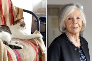 Una asociación civil, preocupada por la gata de Beatriz Sarlo