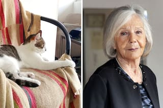 Una asociación civil, preocupada por la gata de Beatriz Sarlo