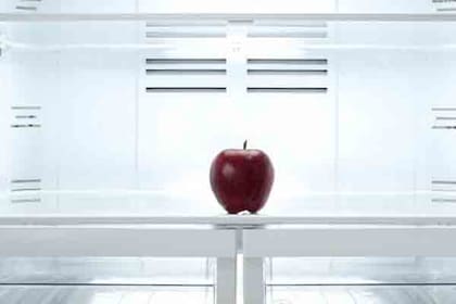 No dejes alimentos calientes dentro de la heladera