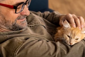 El motivo científico por el que tu gato decide dormir arriba de tu pecho