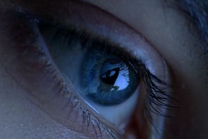 "No es sólo un reflejo: ese ojo también está proyectando, generando eso", dice el artista sobre esta filmación