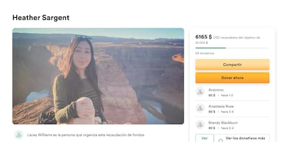 No está claro quien abrió la recaudación de fondos por la popular actriz