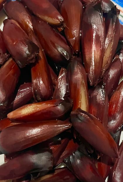 No está permitida la recolección de este fruto (Foto: X)