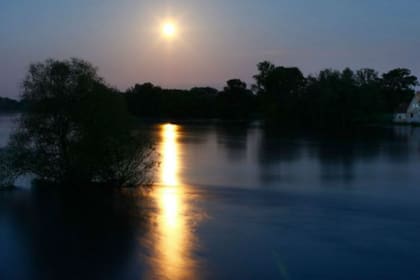 No estamos completamente seguros de si esto es un (o una) "magnata", pero parece...