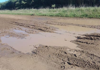 “No estuvieron dispuestos a cambiar el monto. Bajaron del 360 al 310%, con una inflación de 117% el año pasado. No tiene lógica”, señaló Sarena