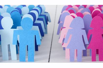 "Un mundo de género produce un cerebro de género", asegura Rippon