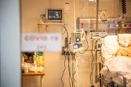 No existe una sola versión sobre las disparidades sexuales durante esta pandemia