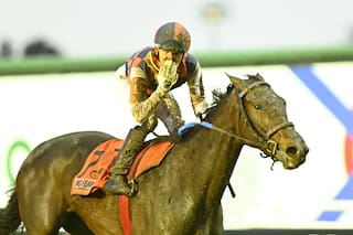 Una potranca busca ganar el Jockey Club luego de 83 años