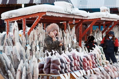No hace falta freezer: los pescados se congelan a temperatura ambiente. En el mercado de Yakutsk.