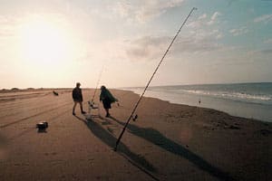 No hay mejor terapia para las vacaciones que pescar desde la costa de la isla del Jabalí