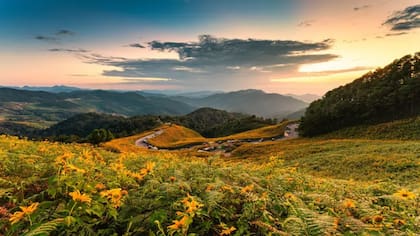 No hay nada como el aroma de nuestro propio planeta, dice Sharman