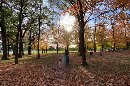 “No hay palabras para explicar lo que se siente estar lejos y no poder hacer nada", dice Emilce.